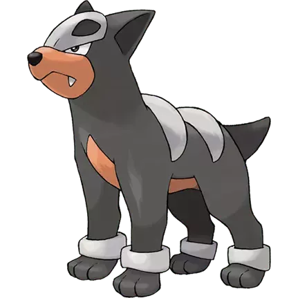 Houndour