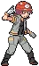 pokemon gym leaders Roark