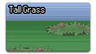 tall grass biome