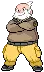 Pokemon Gym Leaders Wattson