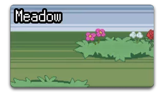 meadow biome