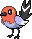 pokedex fletchling