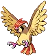 pokedex pidgeotto