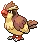 pokedex pidgey