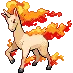 pokedex rapidash