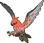 pokedex talonflame