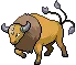 pokedex tauros