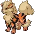 pokedex arcanine